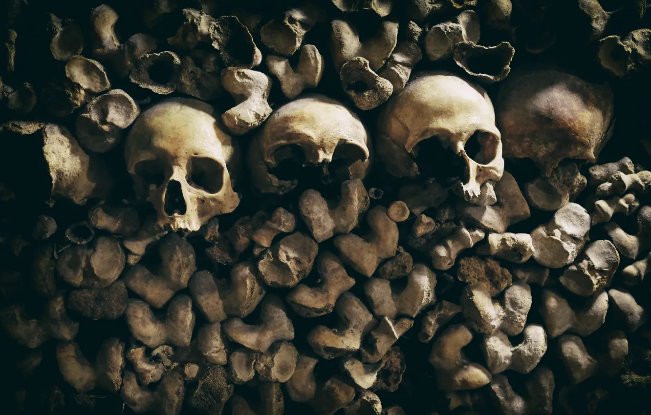 Фото обои фон, череп, кости