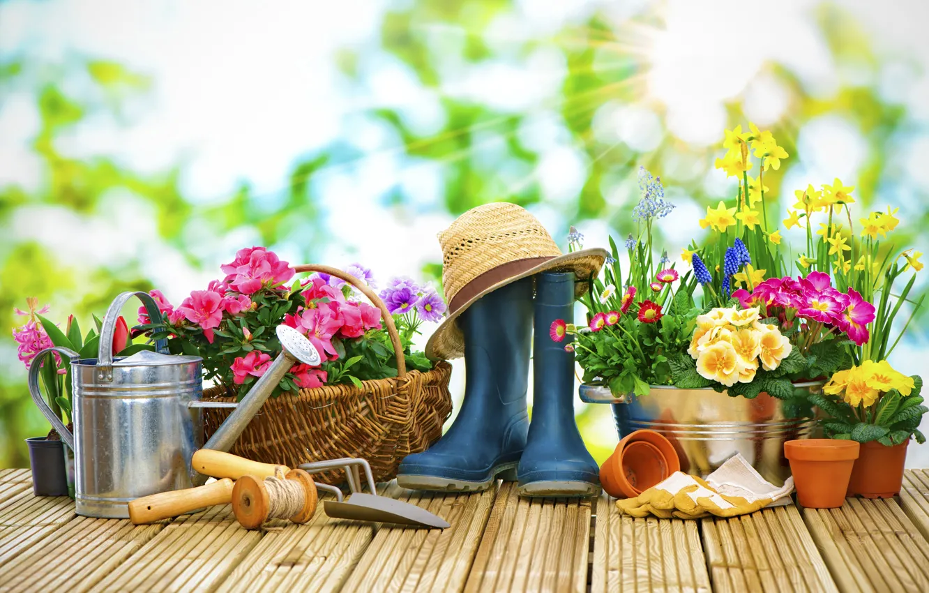 Фото обои солнце, лучи, цветы, фон, корзина, шляпа, сапоги, сад