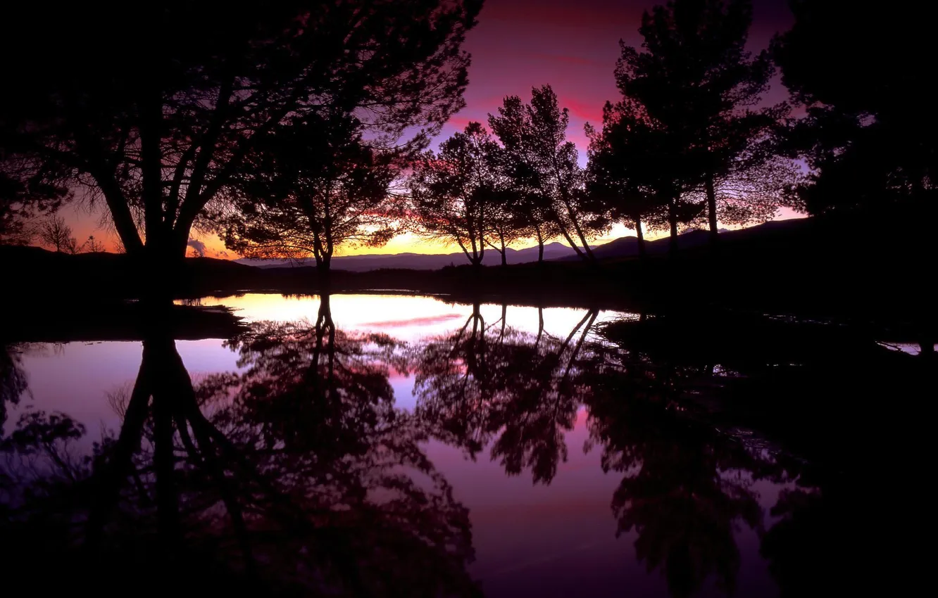 Фото обои вода, деревья, закат, озеро, отражение, вечер, силуэты