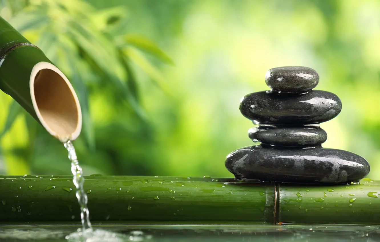 Фото обои вода, камни, стебли, спокойствие, бамбук, размытость, зеленые, гармония