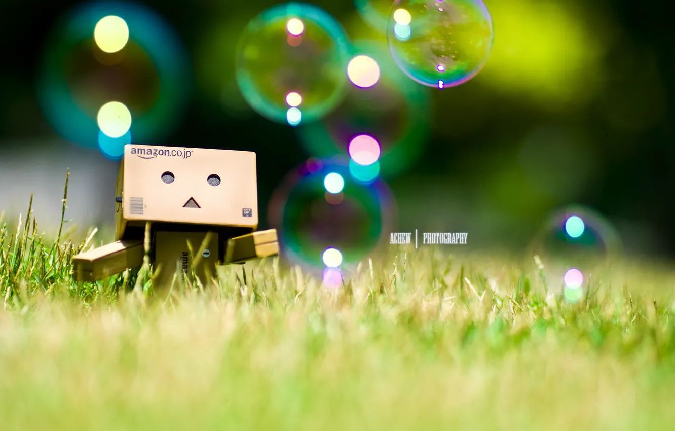 Фото обои трава, пузыри, bubbles, grass, robot, danbo, Danboard, box