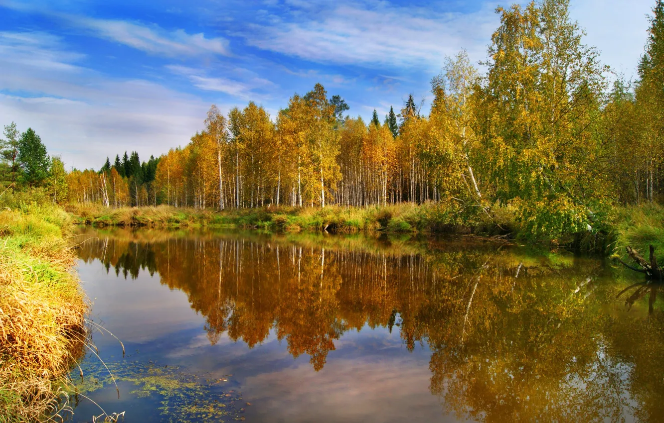 Фото обои природа, отражение, Осень, золотая осень