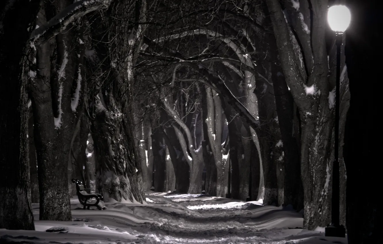 Фото обои снег, ночь, лавочка, фонарь, набережная, черно белая
