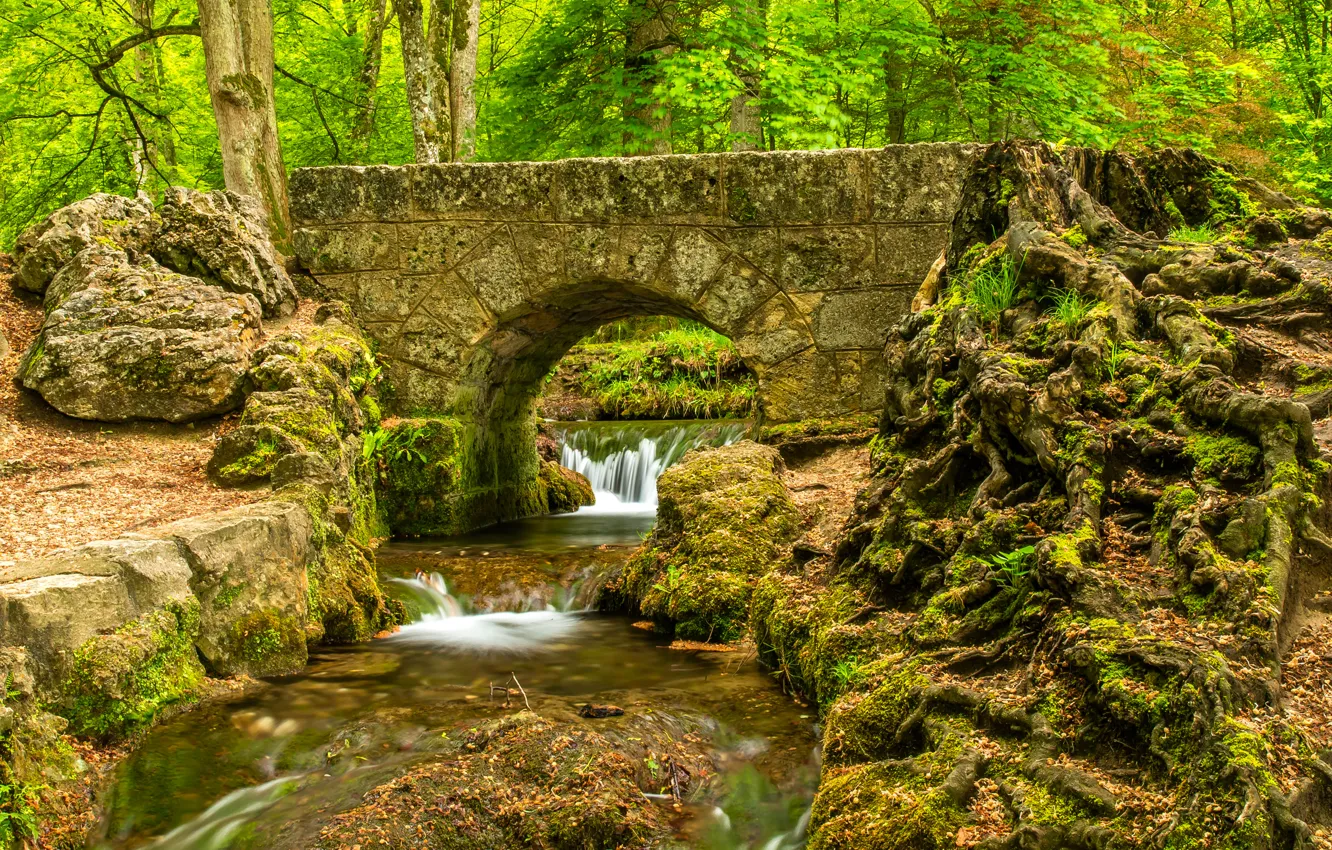 Фото обои лес, деревья, мост, парк, река, камни, поток, пороги