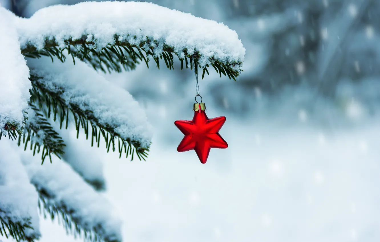 Фото обои зима, снег, звезда, елка, ветка, Новый Год, Рождество, christmas