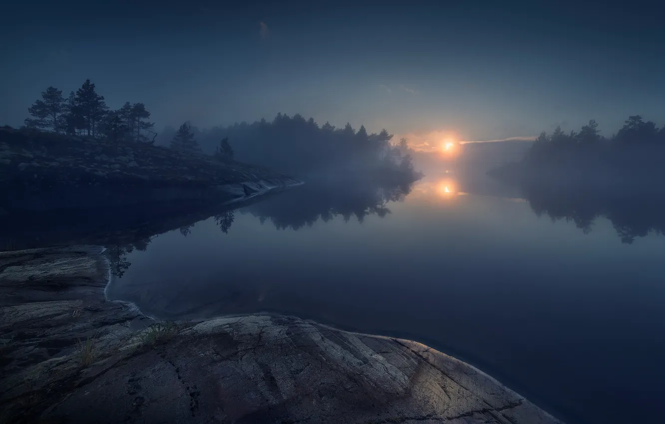 Фото обои лес, озеро, камни, forest, lake, stones, Ладога, Ladoga