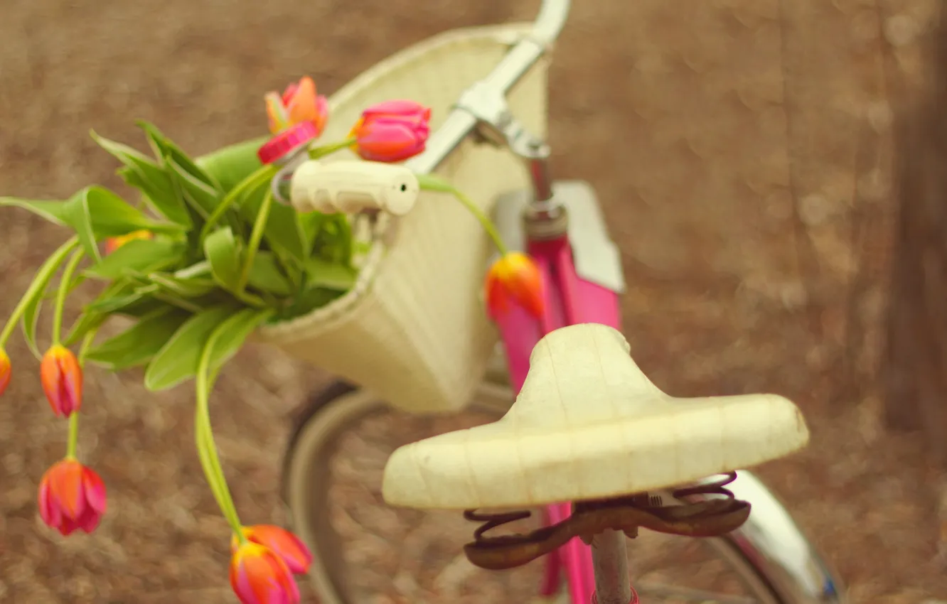Фото обои цветы, велосипед, букет, тюльпаны, bike, flowers, tulips, bouquet