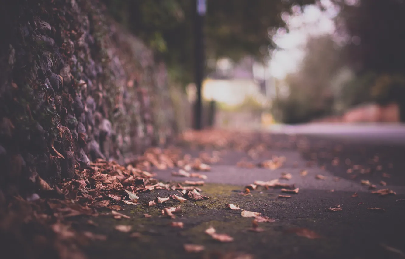 Фото обои дорога, осень, макро, город, блики, листва, ограда