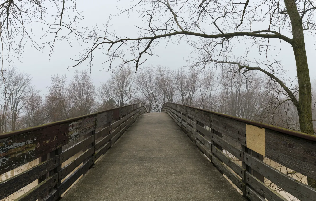 Фото обои осень, туман, дорожка, мостик, bridge, Autumn, fog, path