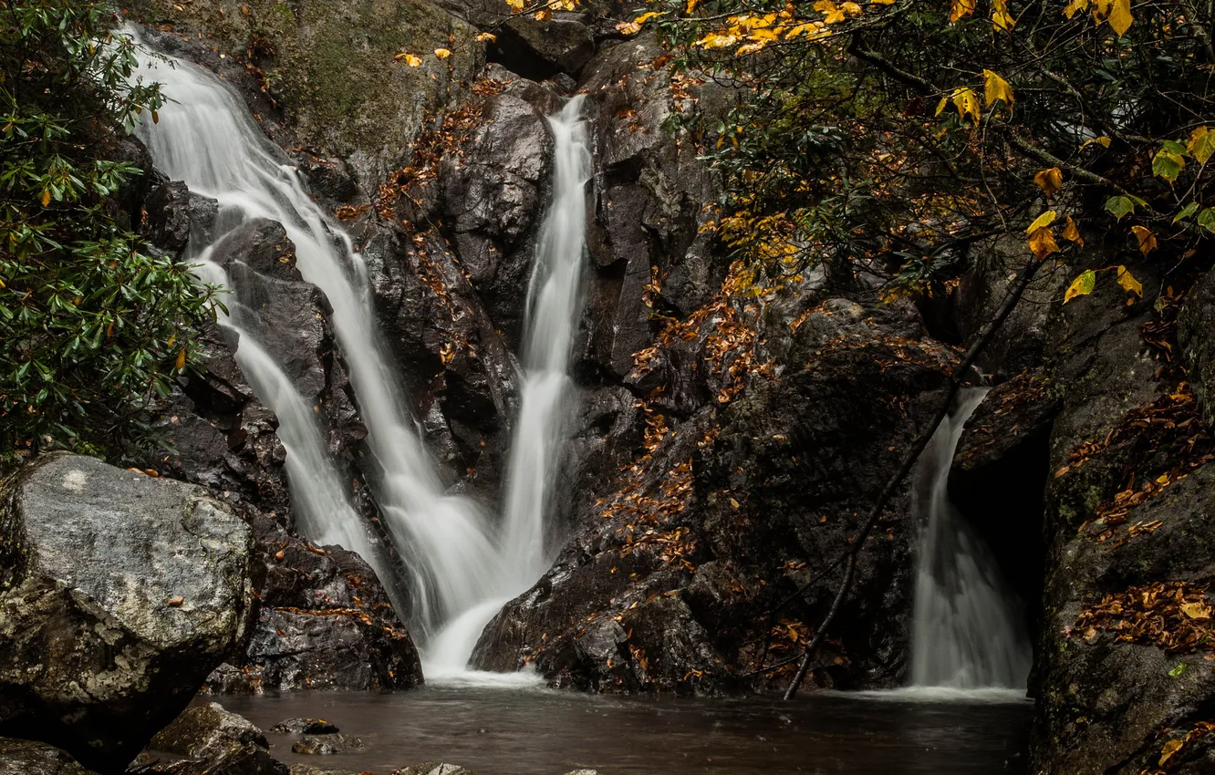 Фото обои осень, листья, ветки, камни, водопады