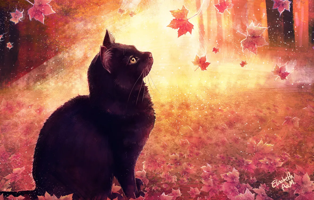 Фото обои Рисунок, Кошка, Осень, Листья, Кот, Арт, Cat, Illustration