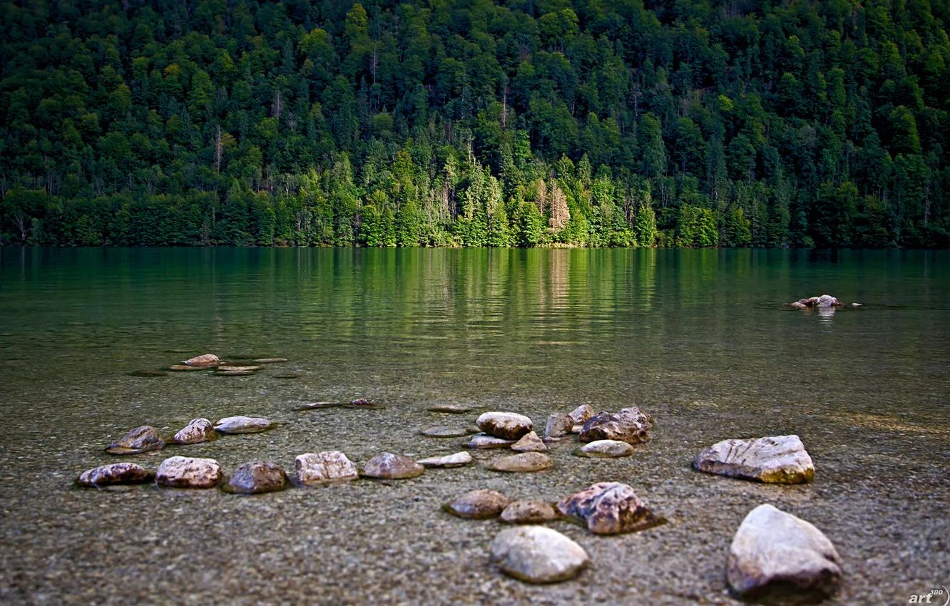 Фото обои лес, свет, горы, озеро, камни