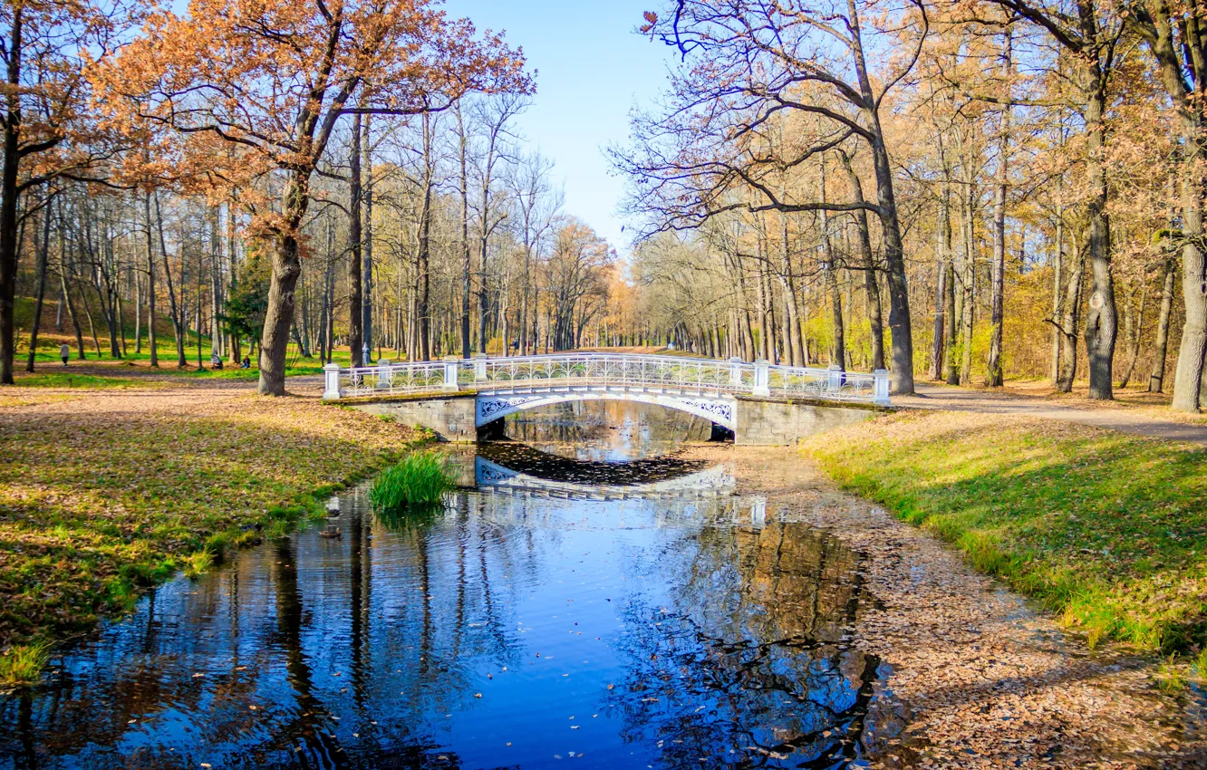 Фото обои осень, листья, деревья, мост, парк, река, colorful, river