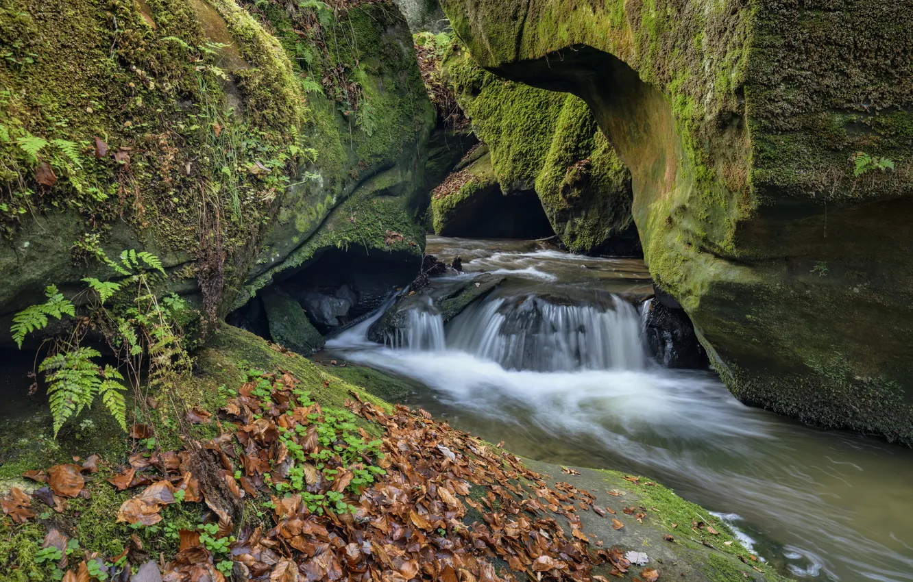 Фото обои лес, природа, река, камни, водопад