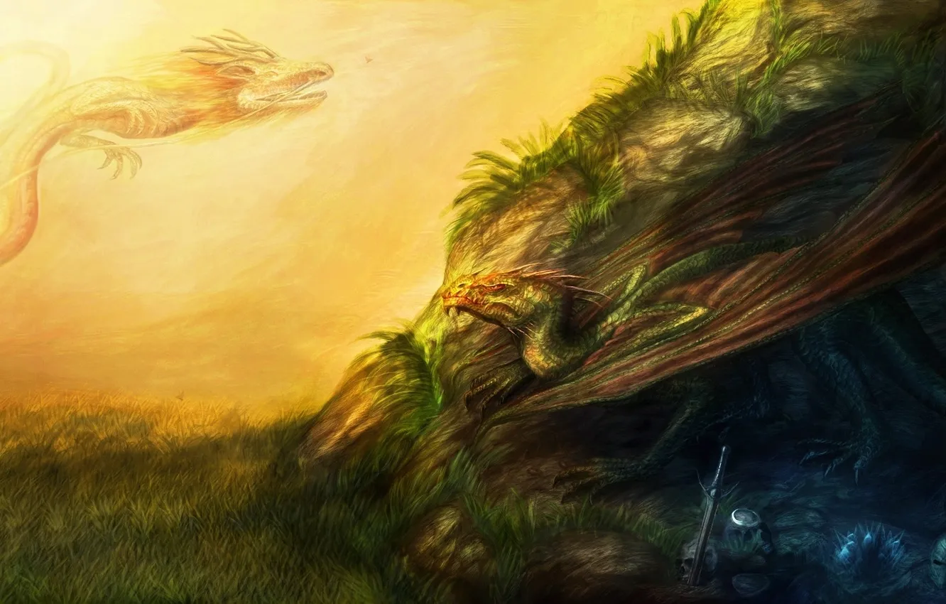 Фото обои трава, драконы, меч, холм, арт, кости, черепа
