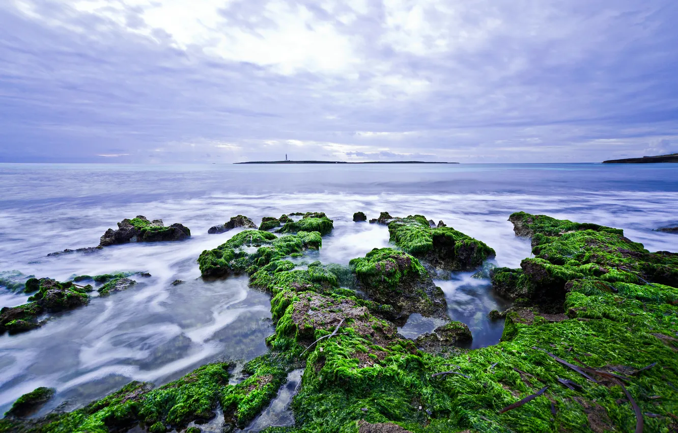 Фото обои море, небо, водоросли, камни