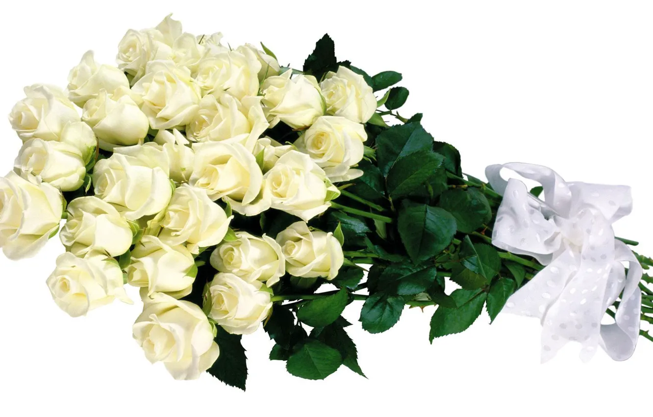 Фото обои розы, Цветы, букет