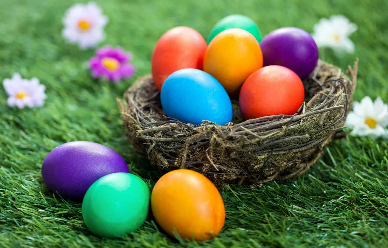 Фото обои трава, цветы, корзина, Пасха, flowers, spring, Easter, eggs