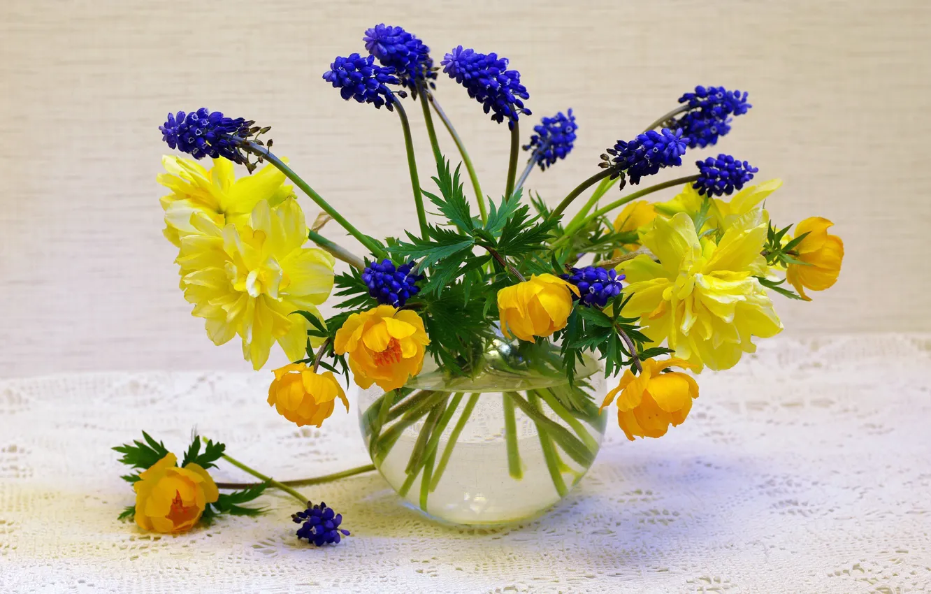Фото обои цветы, природа, настроение, праздник, красота, растения, весна, май
