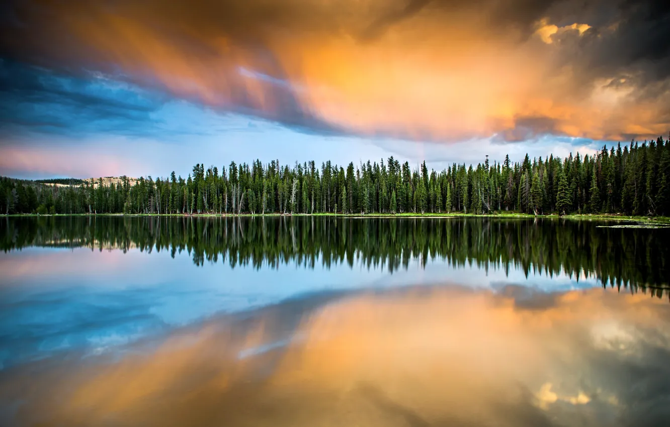 Фото обои лес, небо, облака, озеро