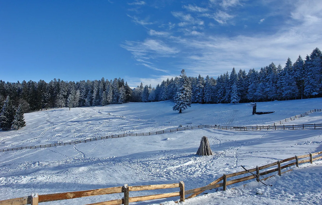 Фото обои winter, snow, cold