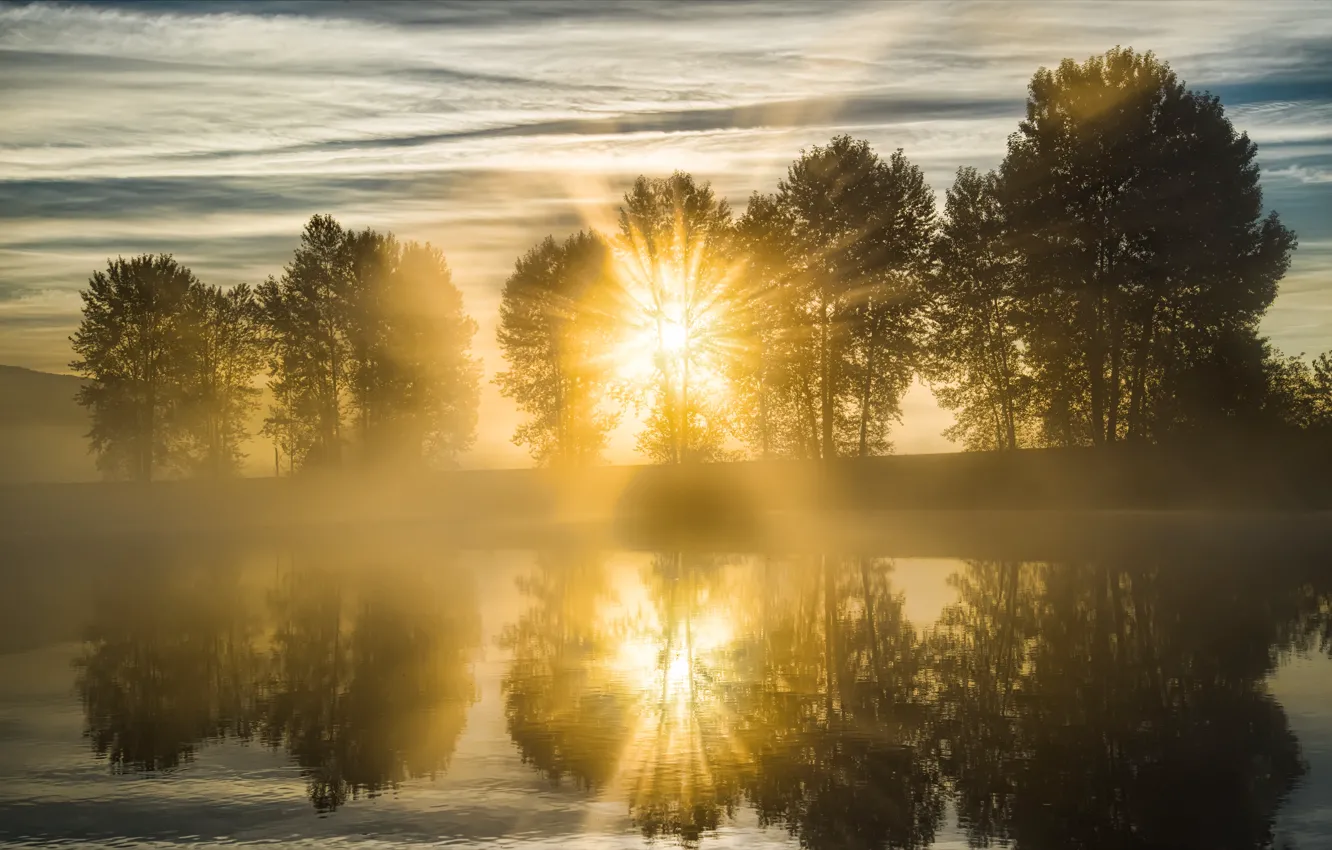 Фото обои солнце, деревья, природа, туман, река