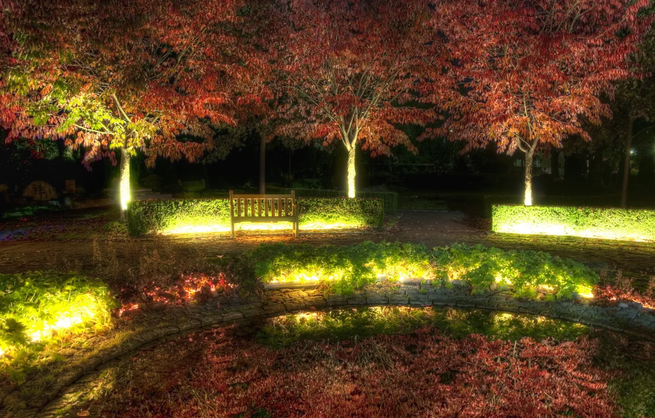 Фото обои свет, деревья, ночь, город, парк, скамья