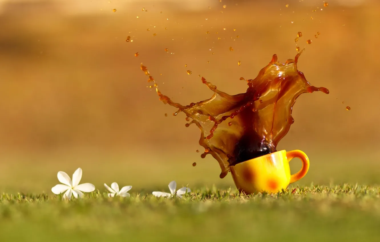 Фото обои трава, капли, цветы, брызги, чай, кофе, оранжевая, чашка