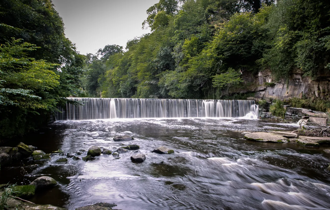 Фото обои лес, вода, деревья, природа, камни