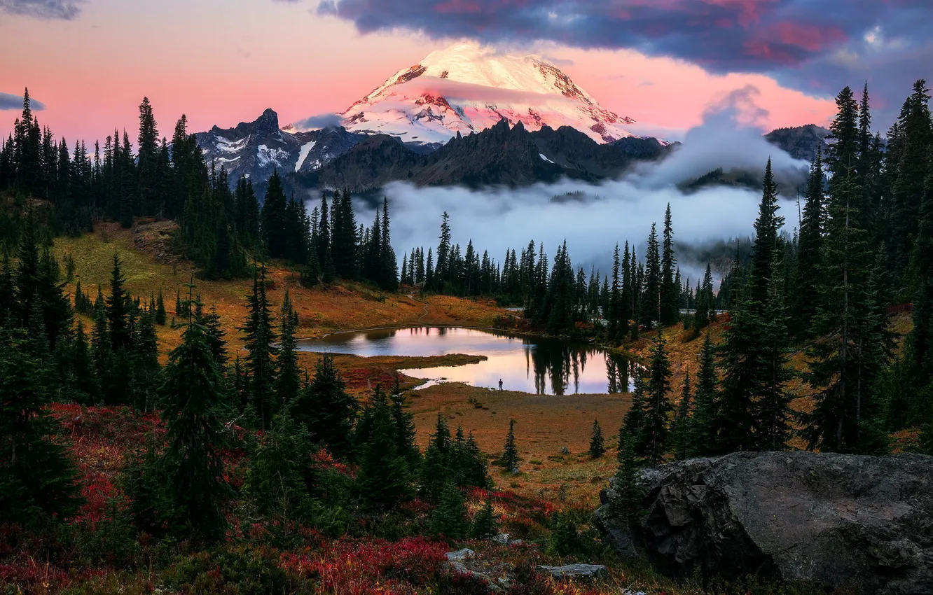 Фото обои лес, горы, озеро, ели