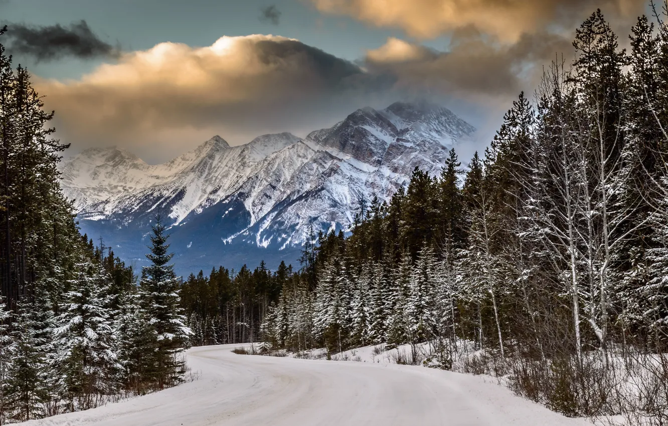 Фото обои зима, дорога, лес, снег, горы