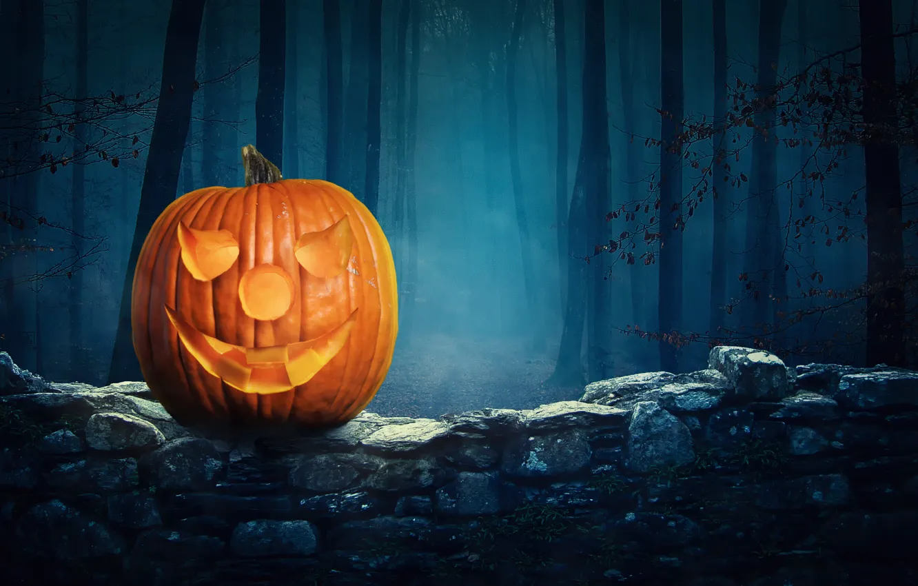 Фото обои лес, ночь, Halloween Pumpkin