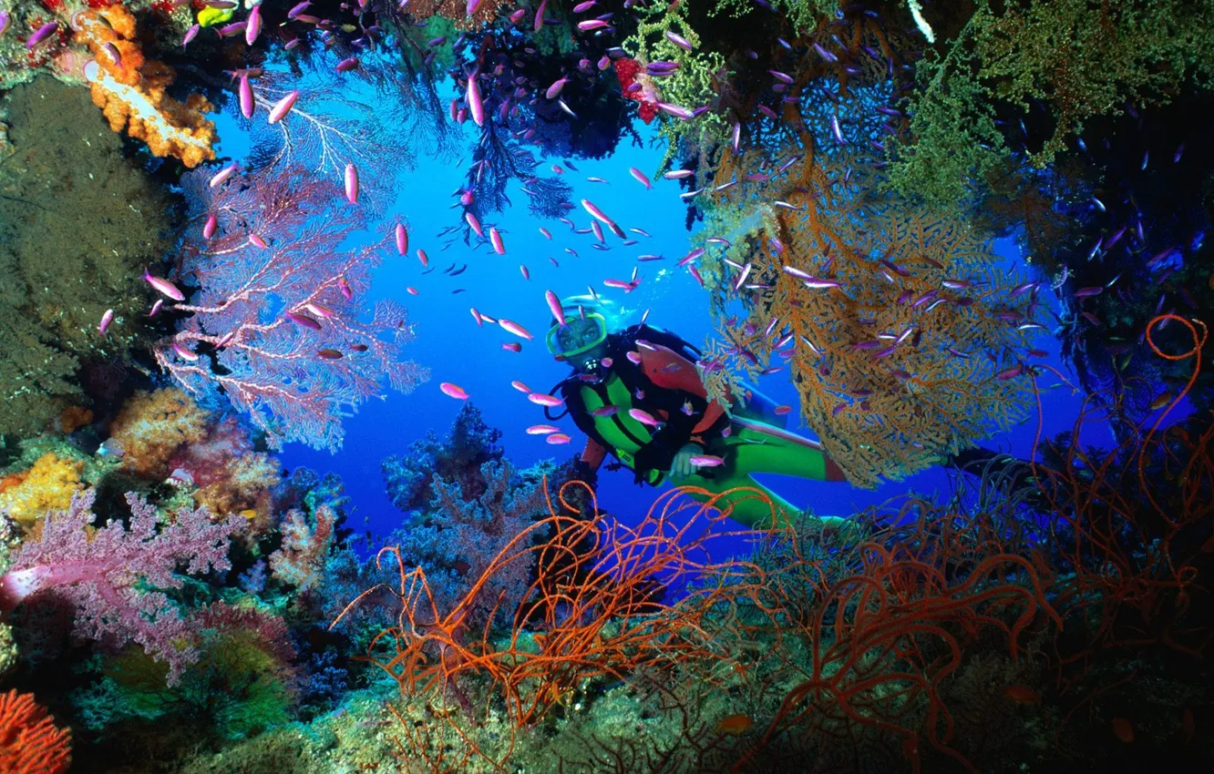 Фото обои Пещера, Кораллы, Фиджи
