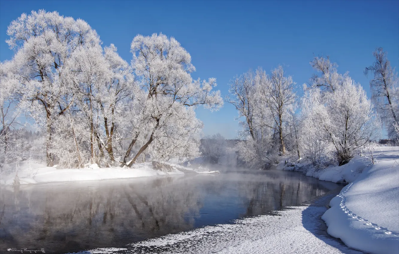 Фото обои зима, иней, солнце, снег, деревья, река, мороз