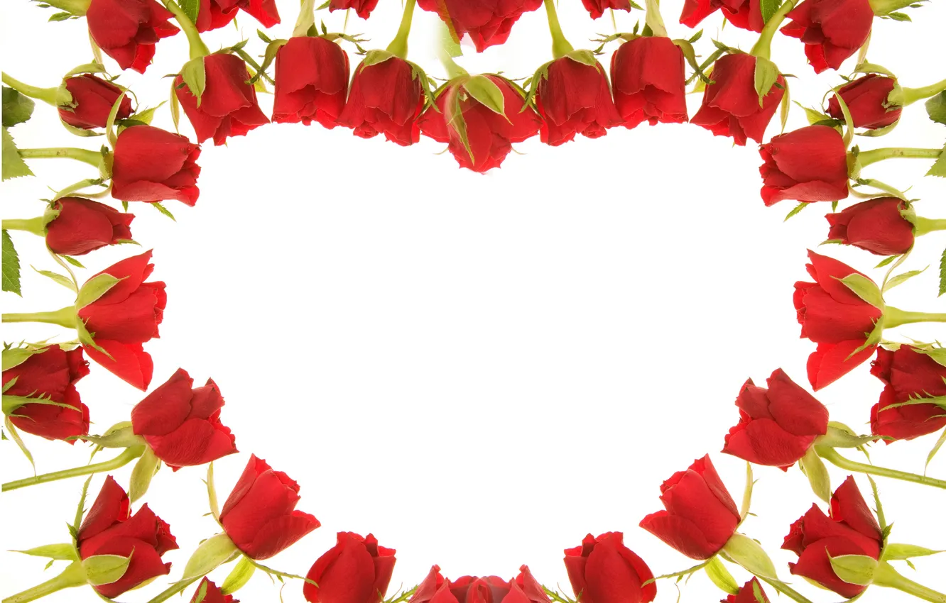 Фото обои сердце, розы, красные, Red, beautiful, Roses, Heart, Valentines Day