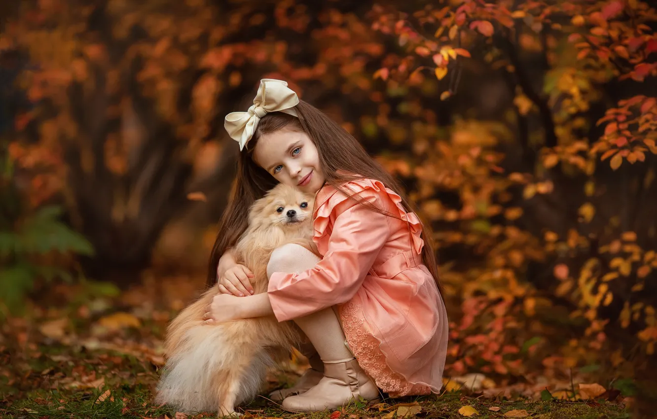 Фото обои осень, взгляд, настроение, собака, дружба, девочка, бант, друзья