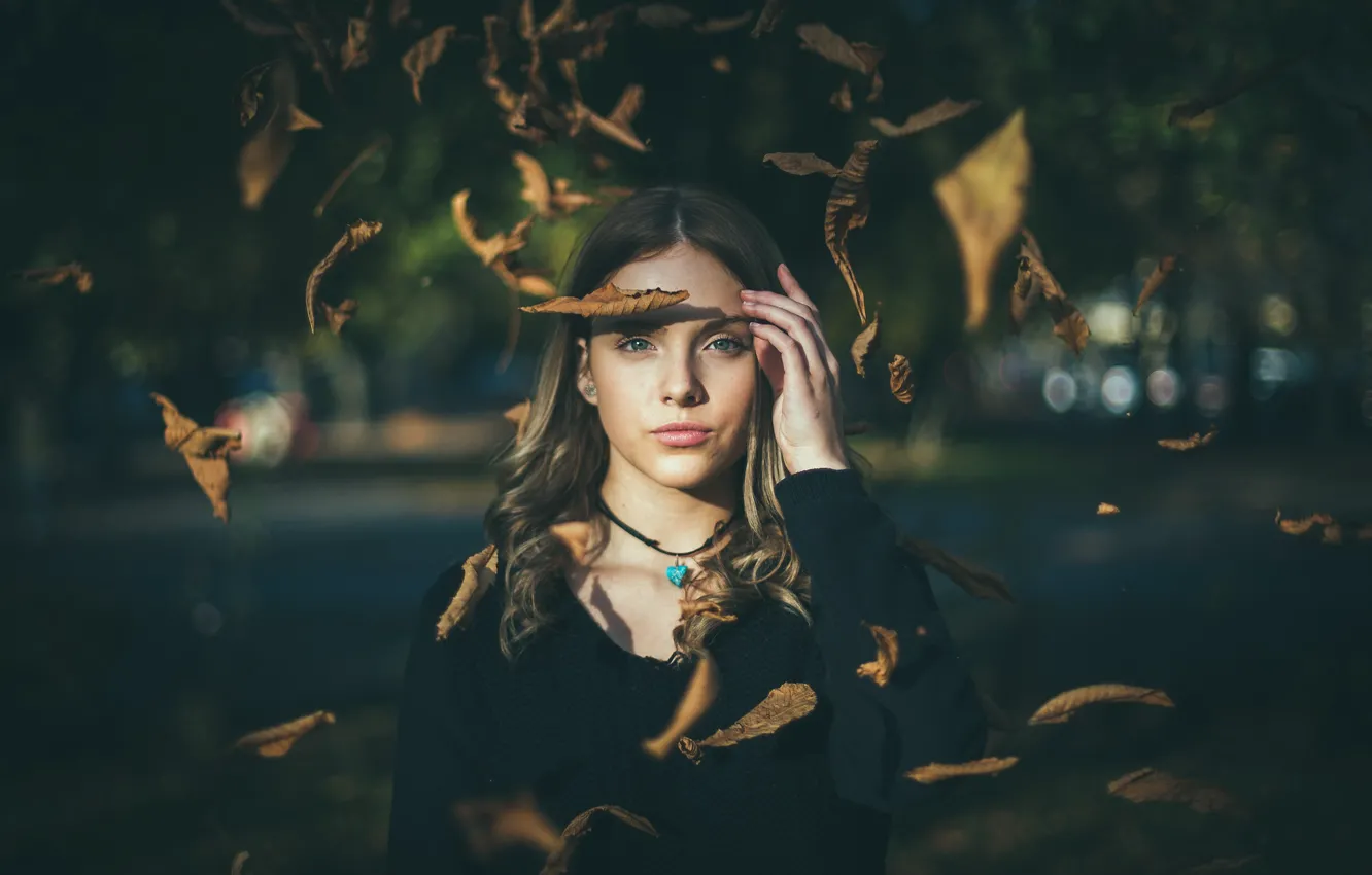 Фото обои Girl, Autumn, Beauty, Eyes, Blond, Sight