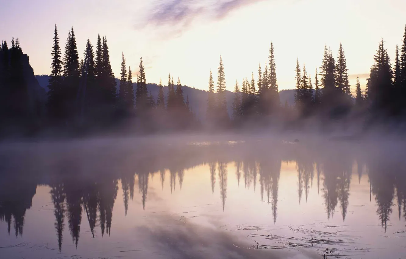 Фото обои лес, горы, туман, озеро