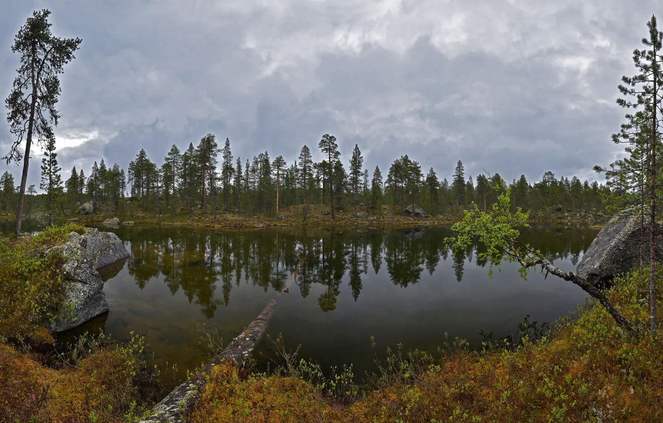 Фото обои лес, облака, деревья, тучи, озеро, камни, кусты