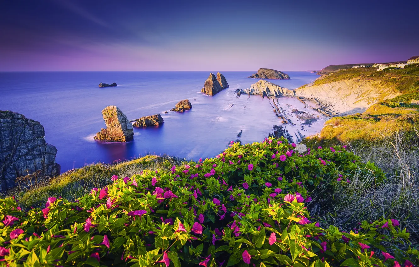 Фото обои море, лето, цветы, скалы