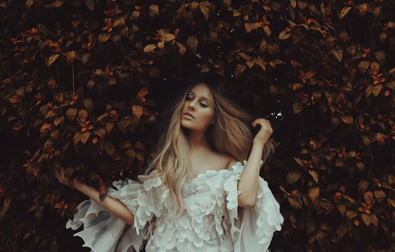Фото обои осень, листья, девушка, настроение, волосы, платье, кусты