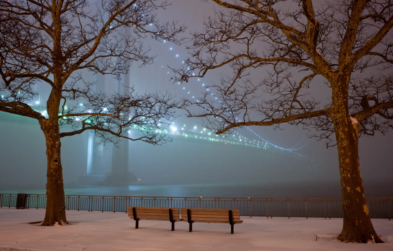 Фото обои снег, деревья, мост, огни, туман, парк, вечер, скамейки