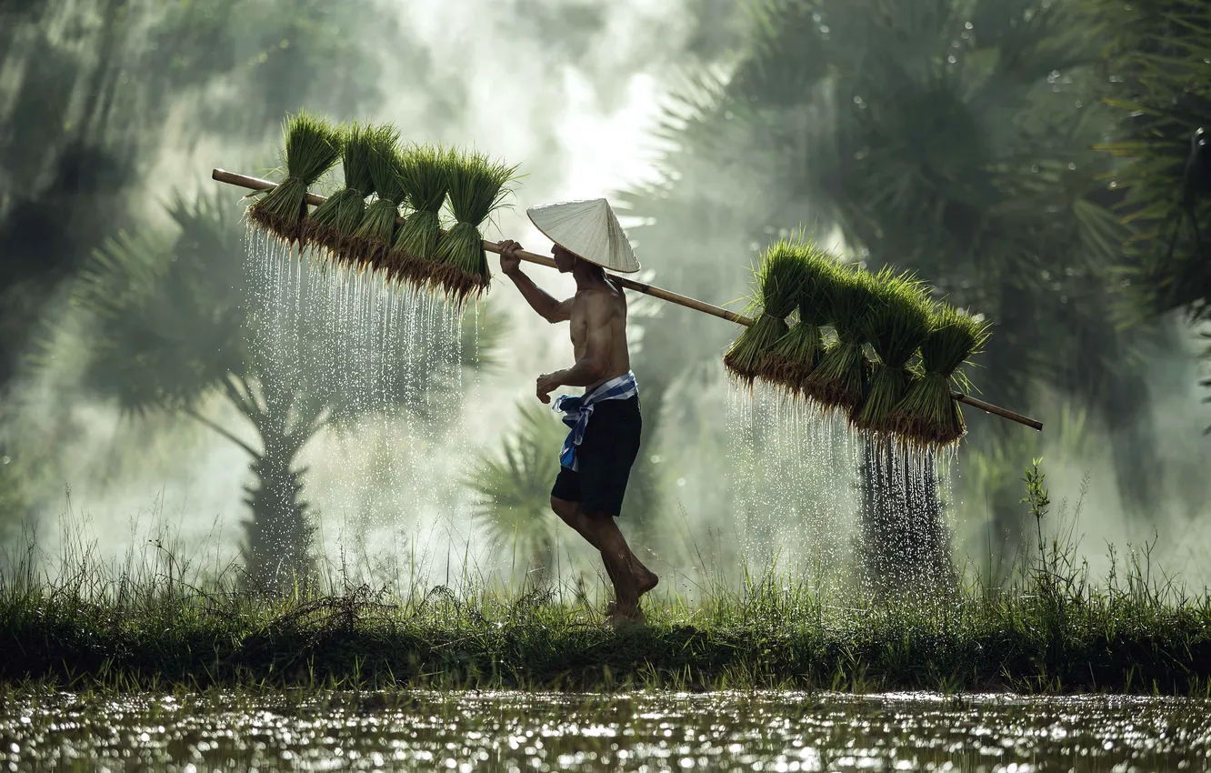 Фото обои Nature, Thailand, Man, People