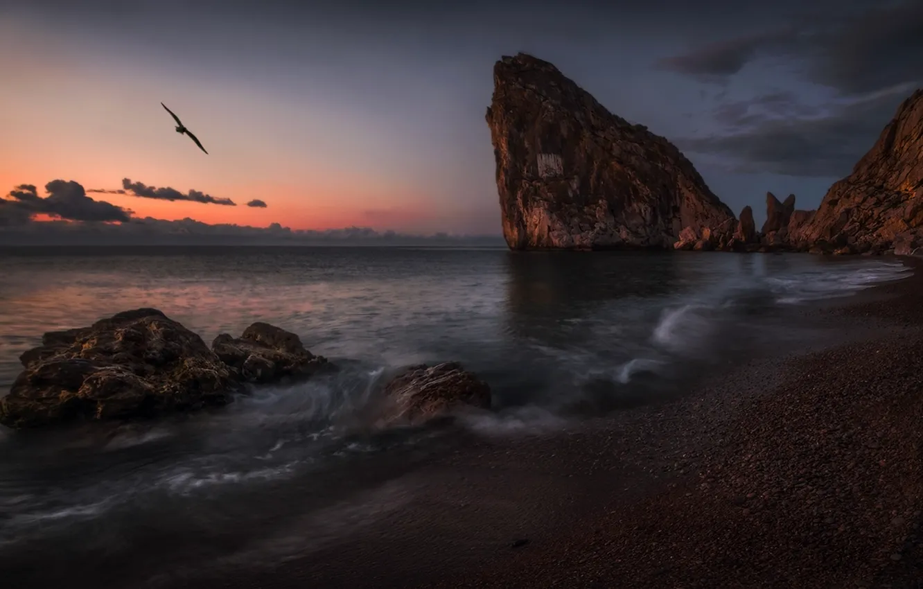 Фото обои море, пейзаж, закат, скалы, птица, берег, Крым, Дива