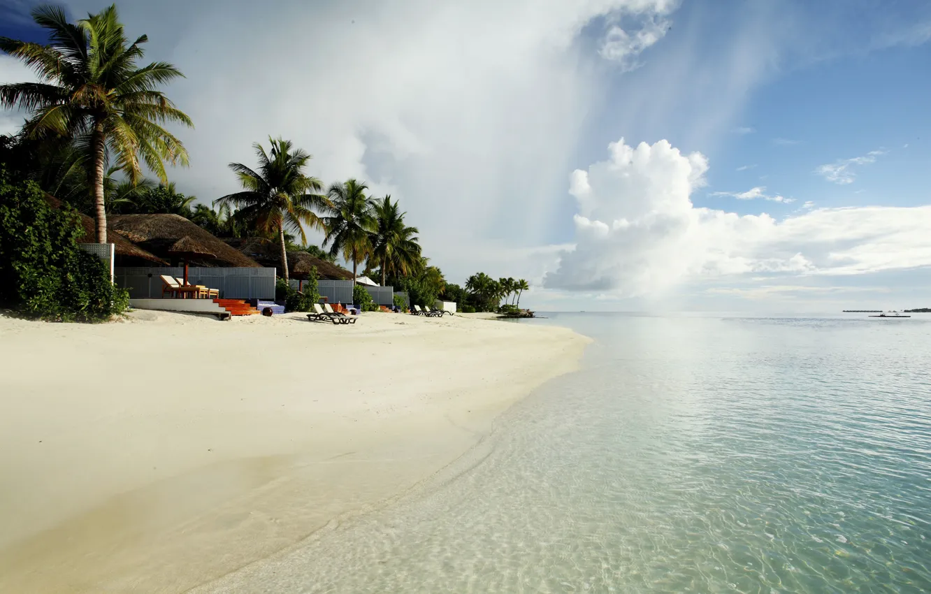 Фото обои пляж, пальмы, океан, курорт