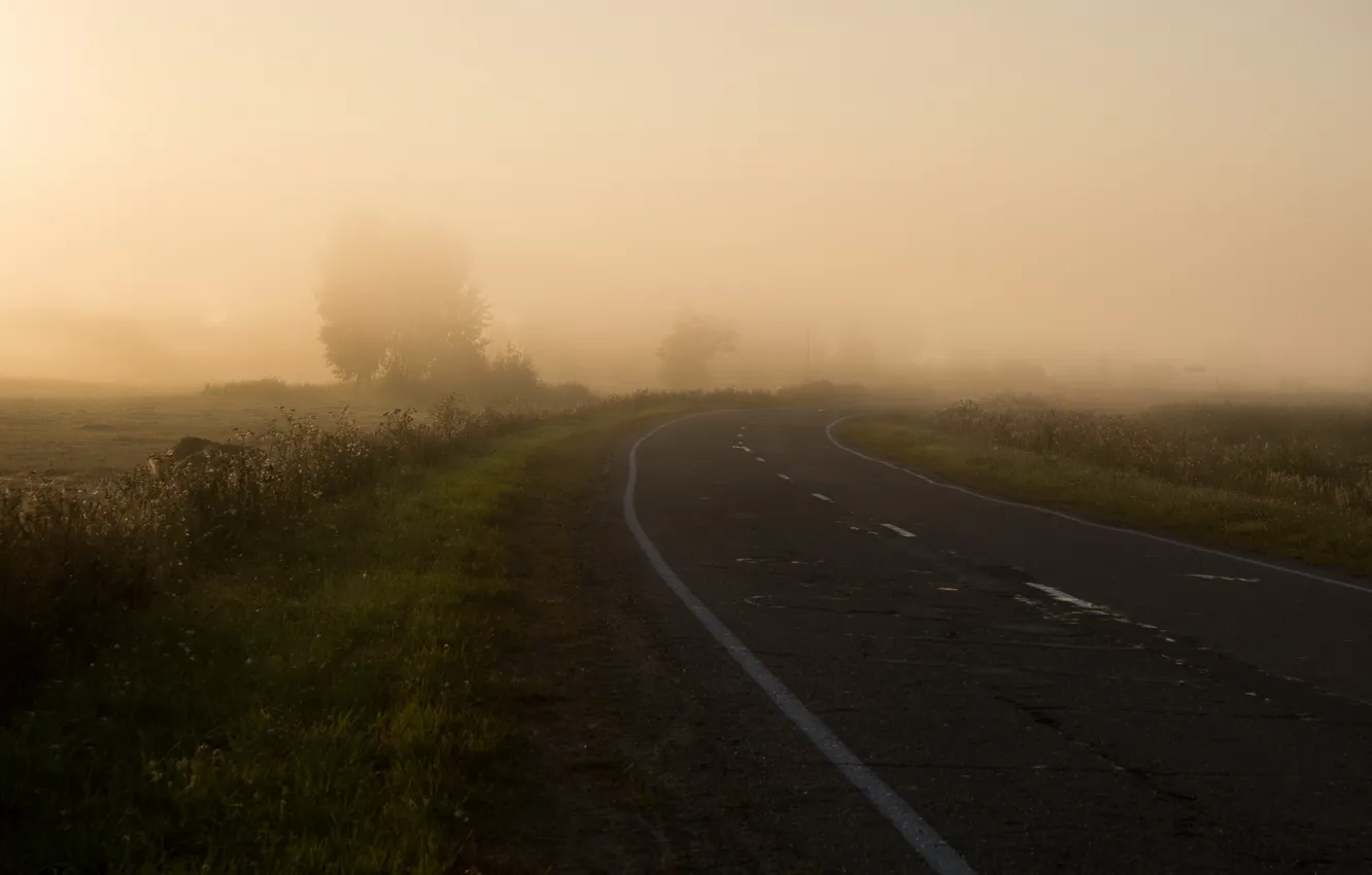 Фото обои дорога, поле, природа, туман, утро