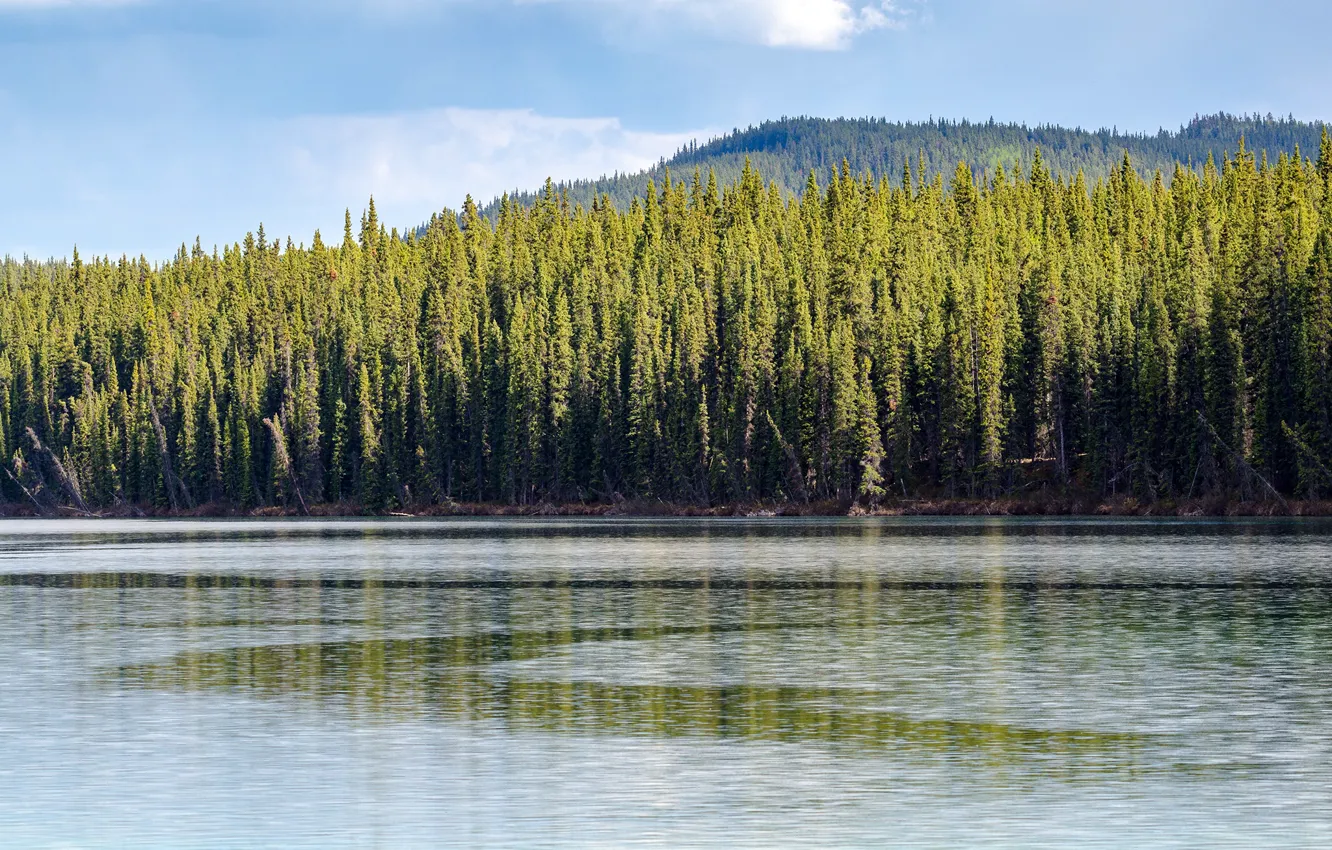 Фото обои лес, солнце, деревья, горы, озеро, Canada, Yukon, Southern Lakes Region