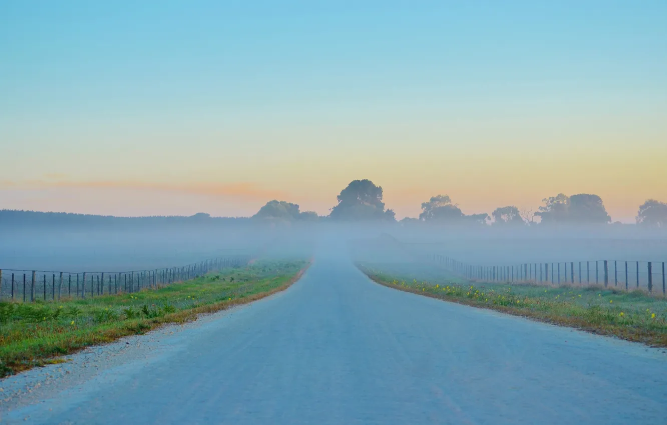 Фото обои дорога, небо, деревья, туман, восход, забор