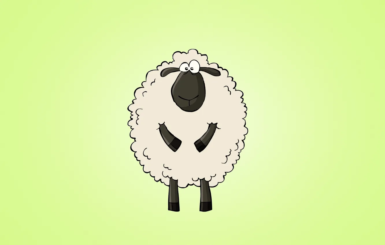 Фото обои животное, светлый фон, sheep, овца, изумительный взгляд