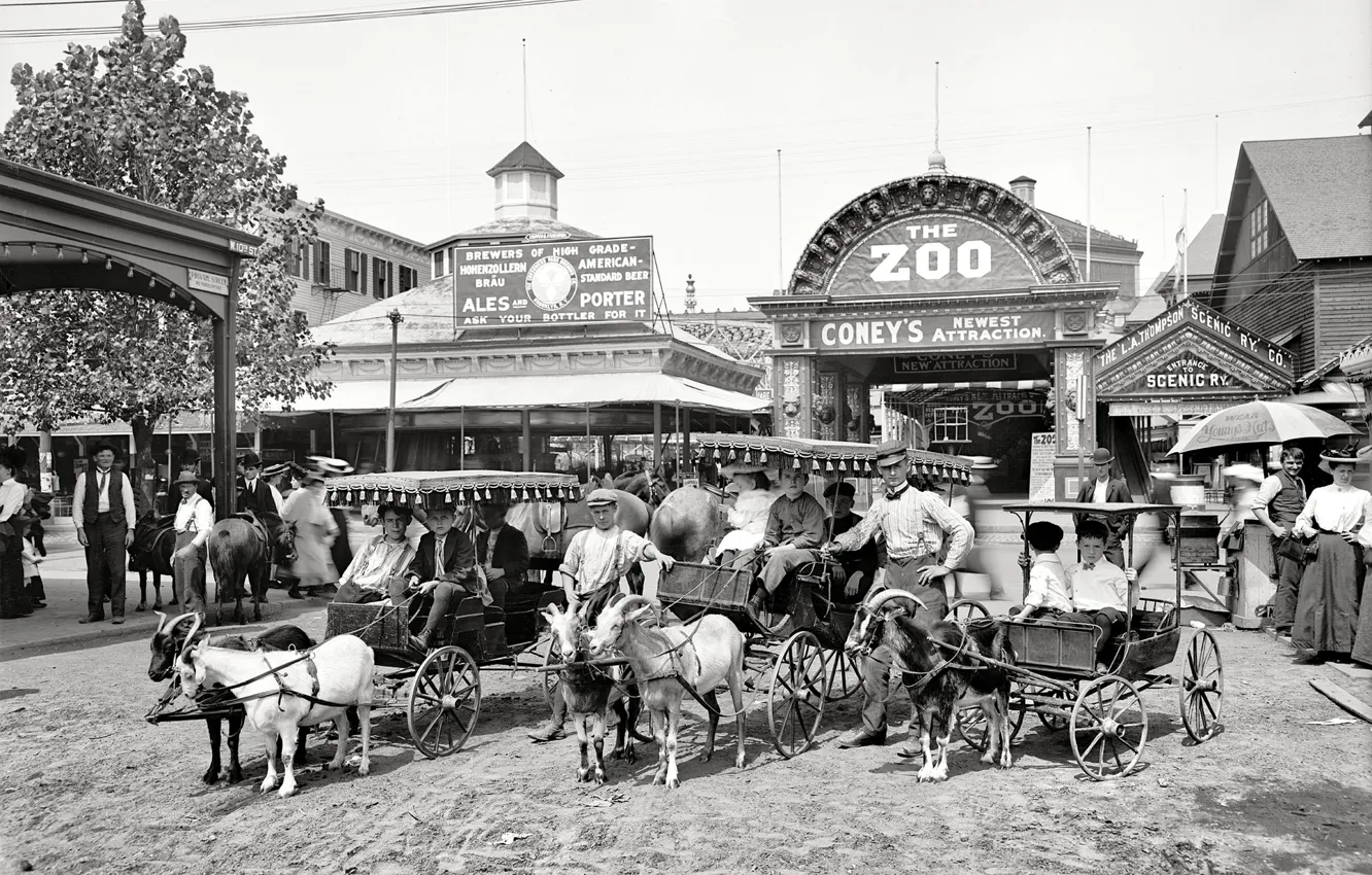 Фото обои ретро, США, зоопарк